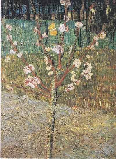 Flowering almond tree, Vincent Van Gogh